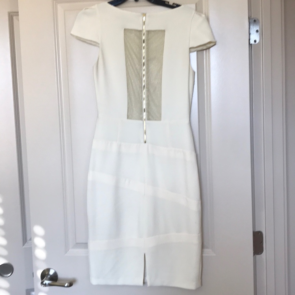 Alice & Olivia sheer-back sheath dress
